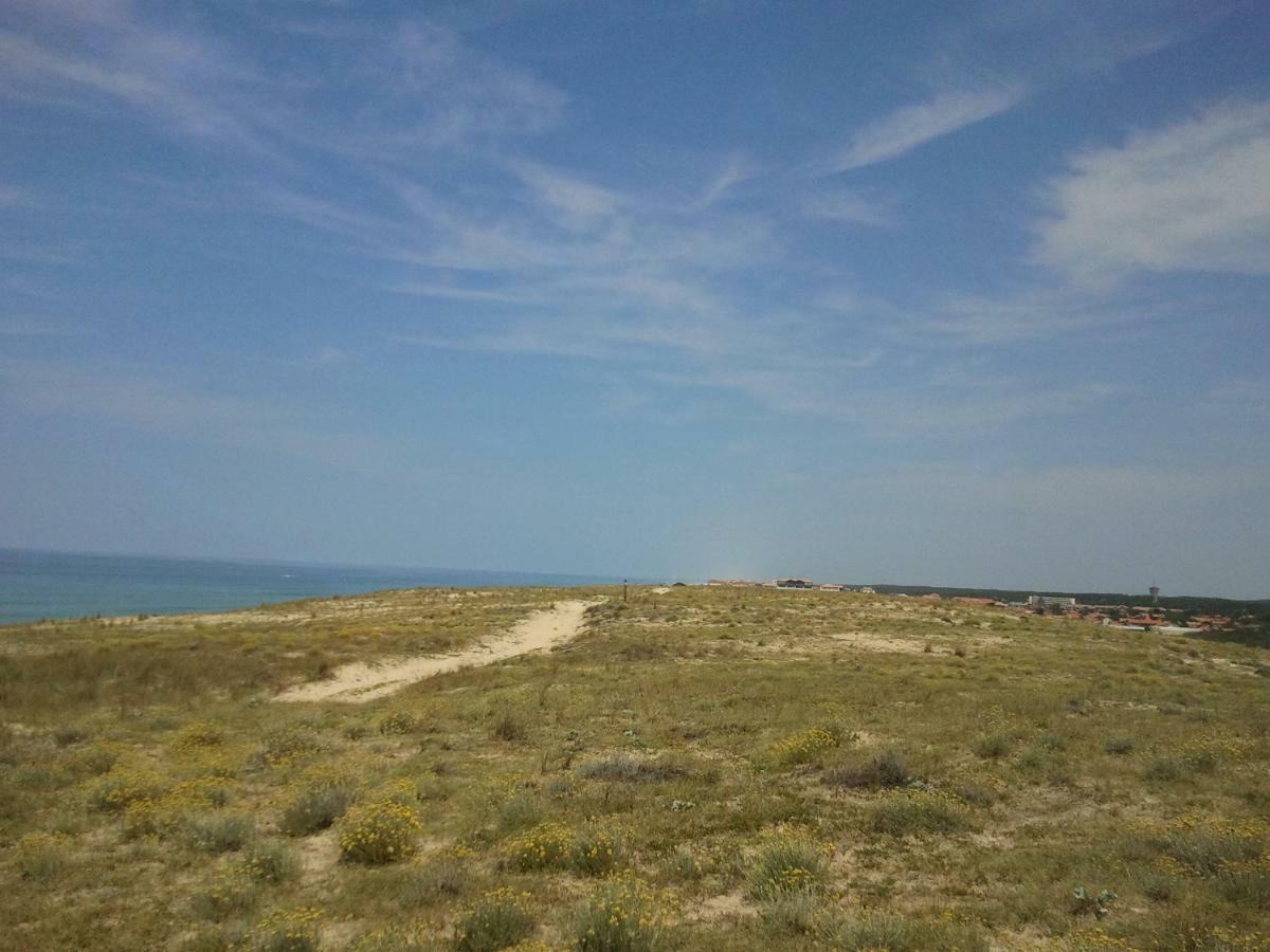 La Pinede Oceane,400M Des Plages Mimizan-Plage Exterior foto